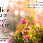 Ladies Summer Seudat Shlishit