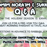 Yomim Nora'im & Sukkot