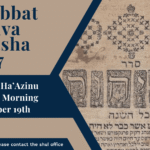 Shabbat Shuvah Drasha